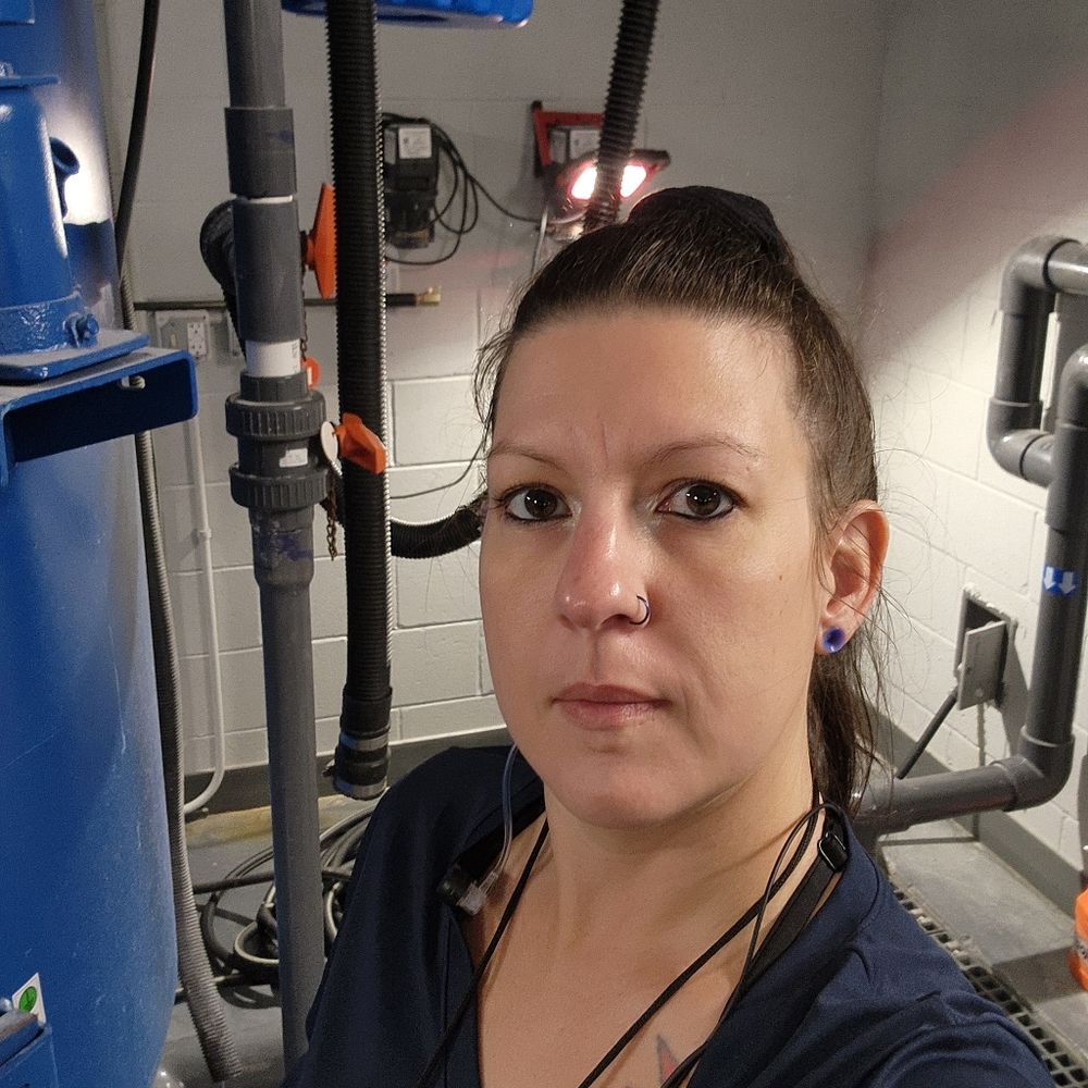 Meet your Posher, Mari